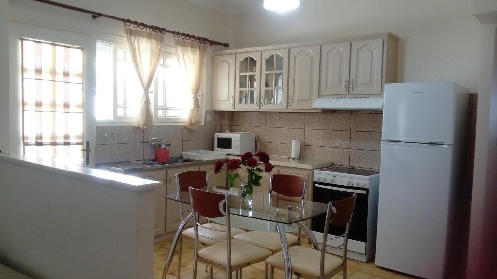 Kuchyňa alebo kuchynka v ubytovaní Manousos apartment