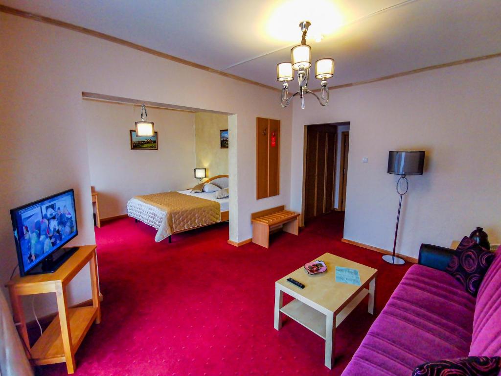 TV a/nebo společenská místnost v ubytování Hotel Belvedere