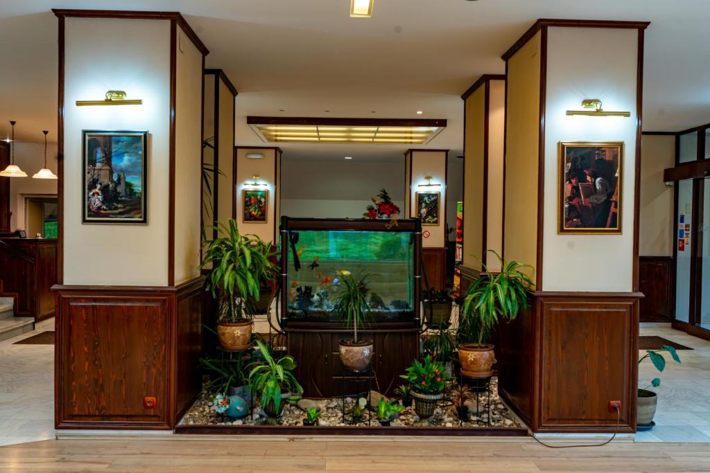 Vstupní hala nebo recepce v ubytování Hotel Belvedere