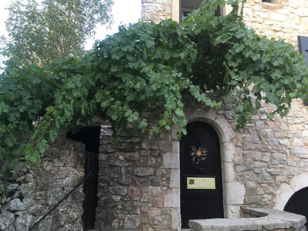 una planta colgando sobre la puerta de un edificio de piedra en La cardabelle, en Saint-Maurice-Navacelles