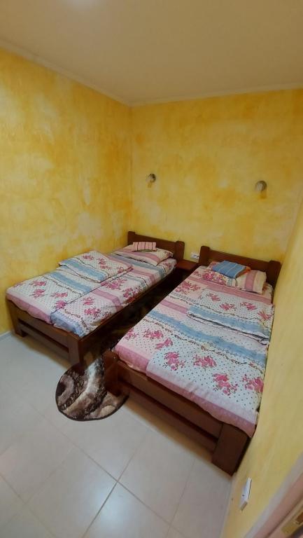 two beds sitting next to each other in a room at Petrovača in Žabljak