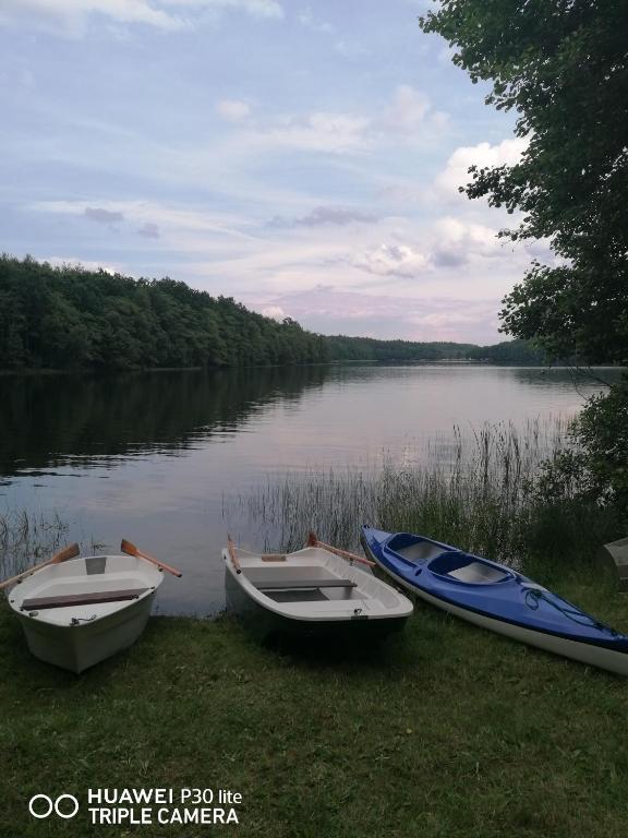 Przyroda w pobliżu tego apartamentu