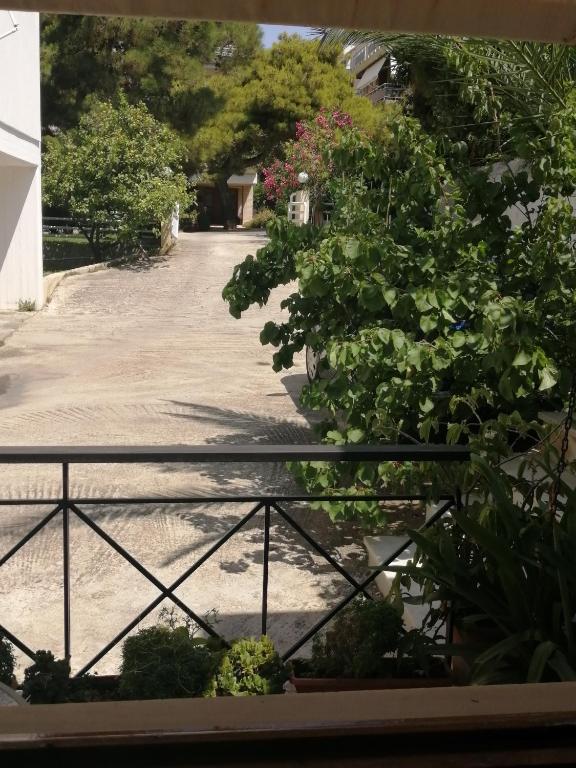 Vonkajšia záhrada v ubytovaní Sunny garden studio