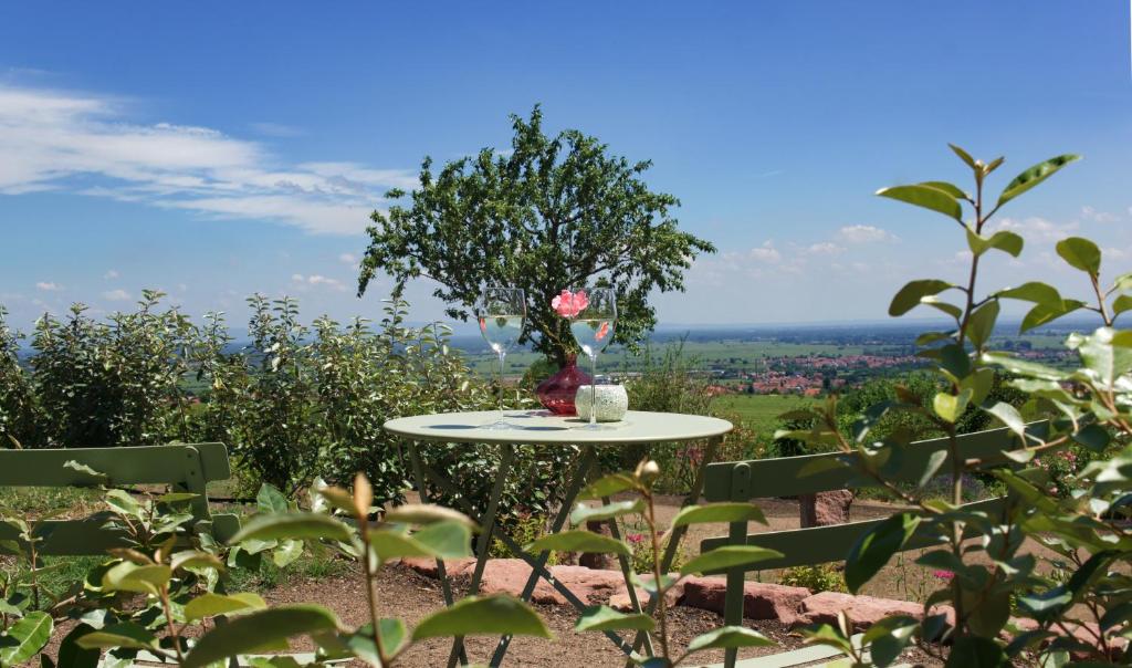 a table with a rose on top of a hill at Ferienwohnung Am Wingert in Sankt Martin