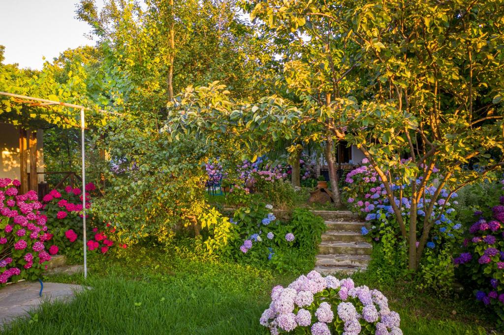 a garden with colorful flowers and a path at Alekas Studios in Therma