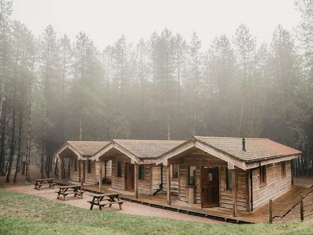 Wyldwood Lodge في تشيدل: كابينة خشب مع طاولات نزهة في غابة