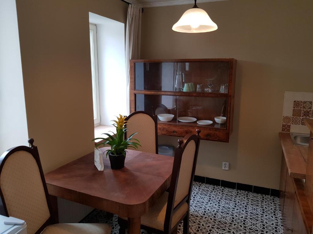 Vila Janáčkova - 1st republic villa - 17