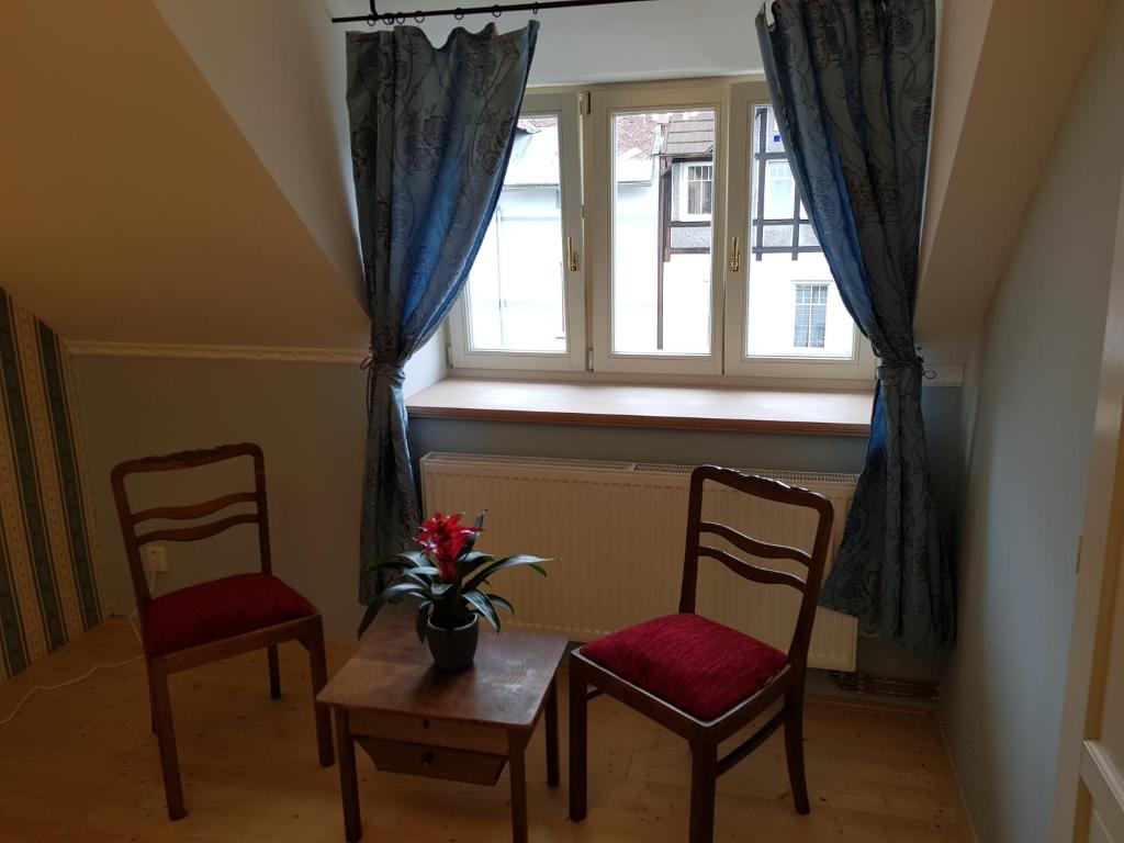 Vila Janáčkova - 1st republic villa - 10