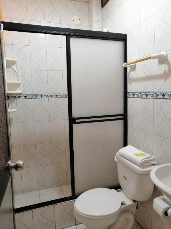 Koupelna v ubytování Hotel Sánchez Internacional
