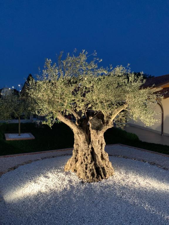 Fotografie z fotogalerie ubytování B&B Alciliegio v destinaci Casnate con Bernate