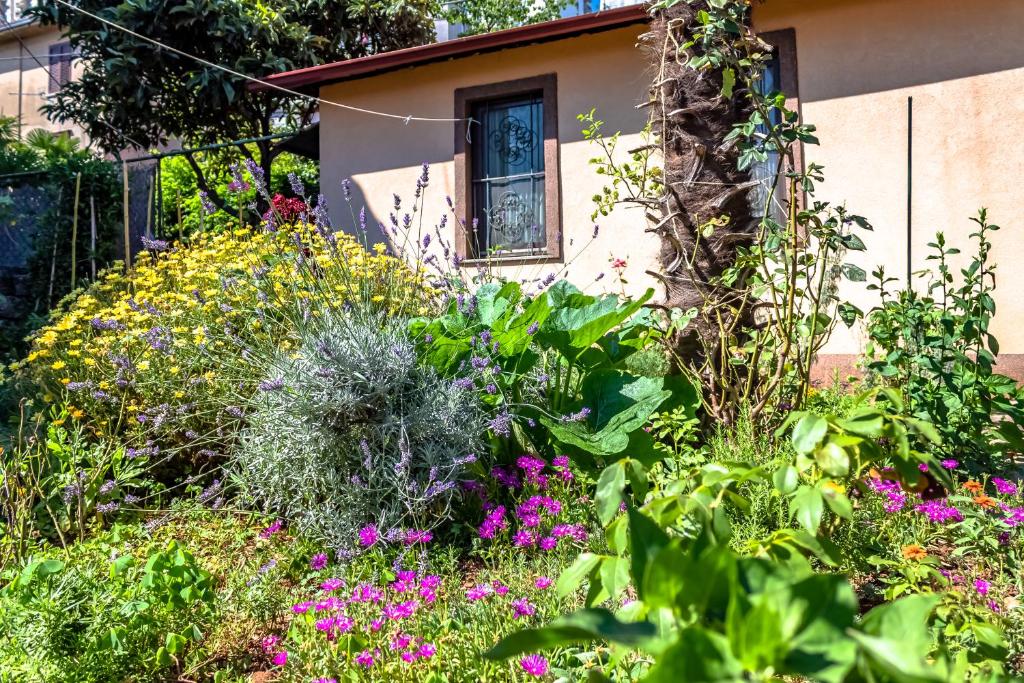 Little garden house