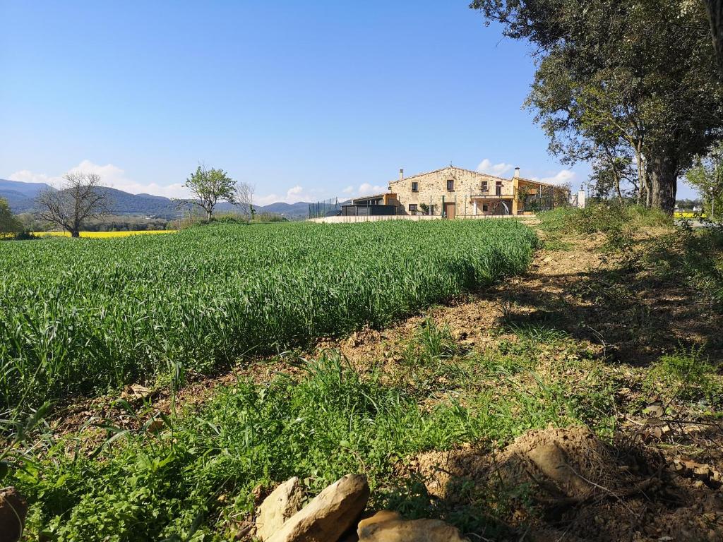 Casa rural Masoveria de Cal Sastre (España Cartellá ...