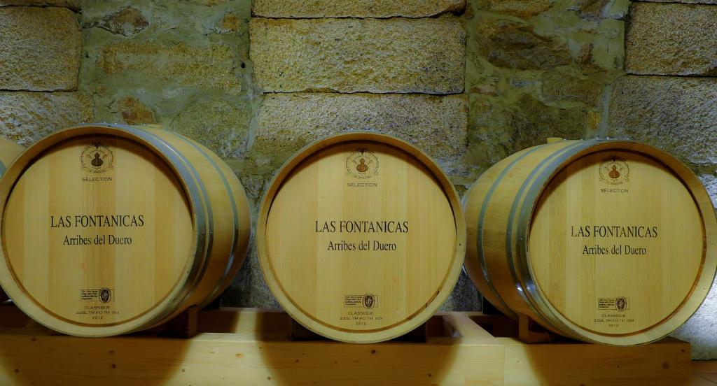 Fotografie z fotogalerie ubytování La Casa del Vino v destinaci Fermoselle