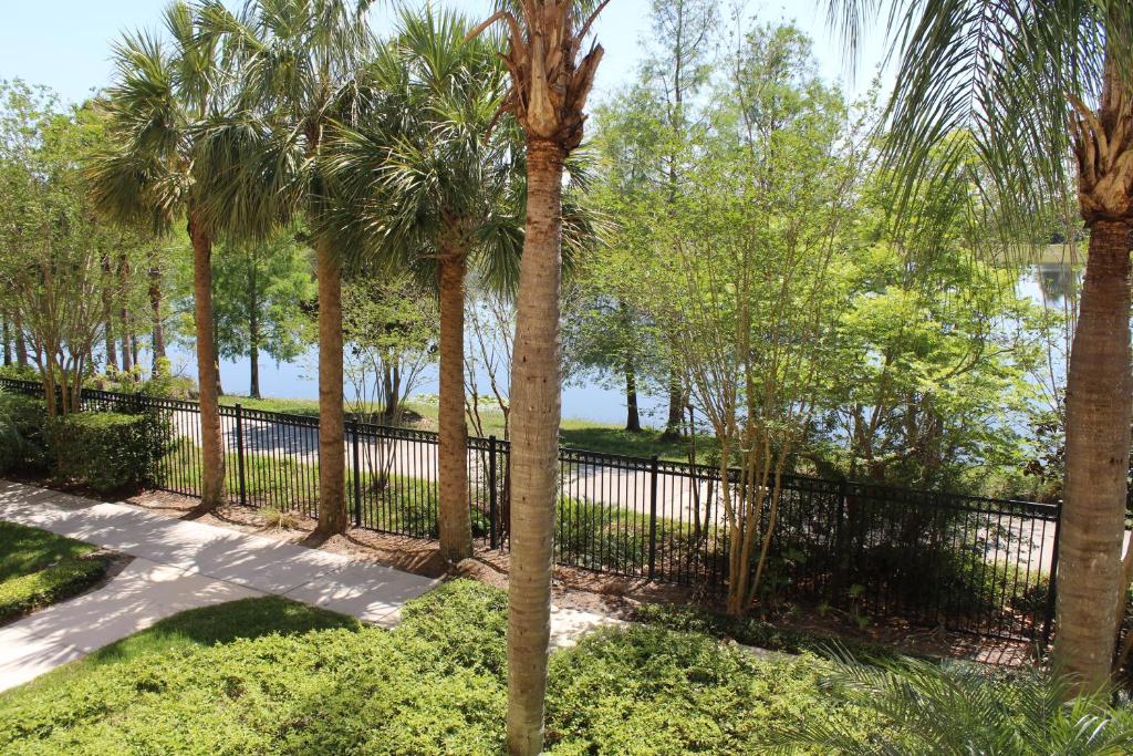 una recinzione con palme in un parco di 205 - Disney, Universal, Convention Center a Orlando
