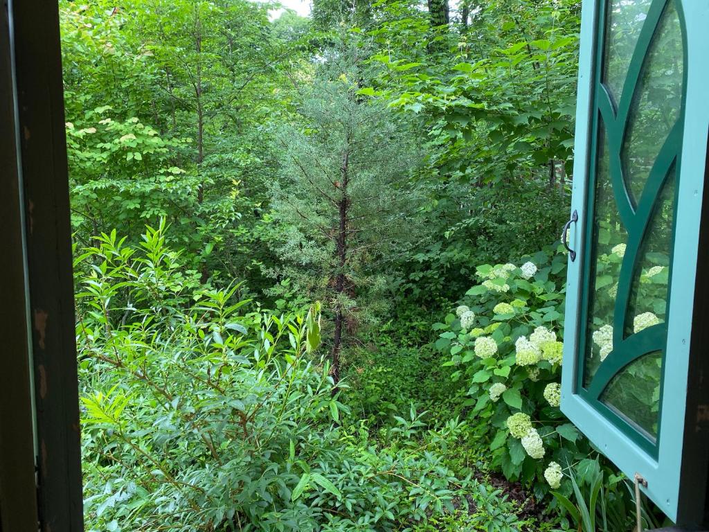 Zahrada ubytování Garden Shed R