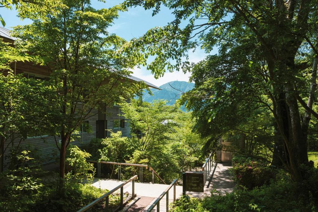 a path through the trees with a mountain in the background at Hakone Retreat Före in Hakone