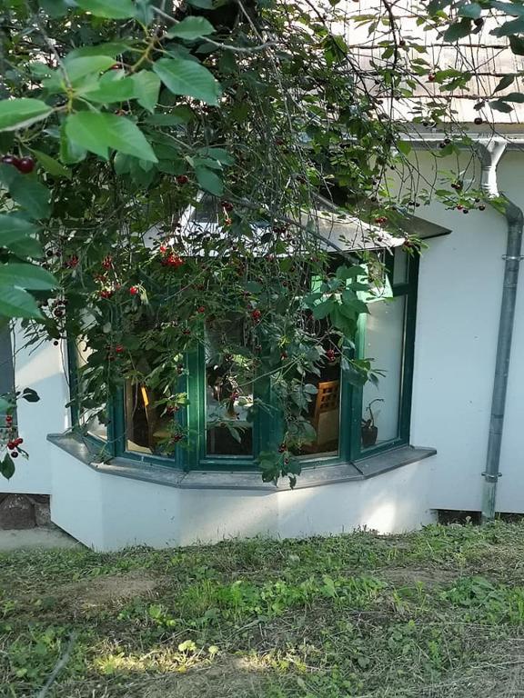 Vonkajšia záhrada v ubytovaní Nyugalomsziget