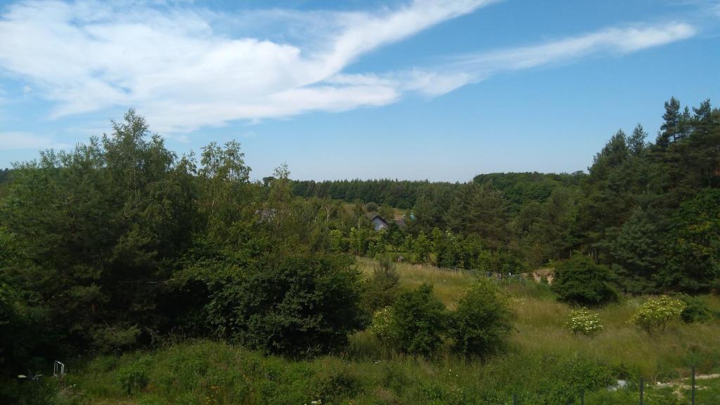 Fotografia z galérie ubytovania APARTAMENTY DĘBINA v destinácii Debina