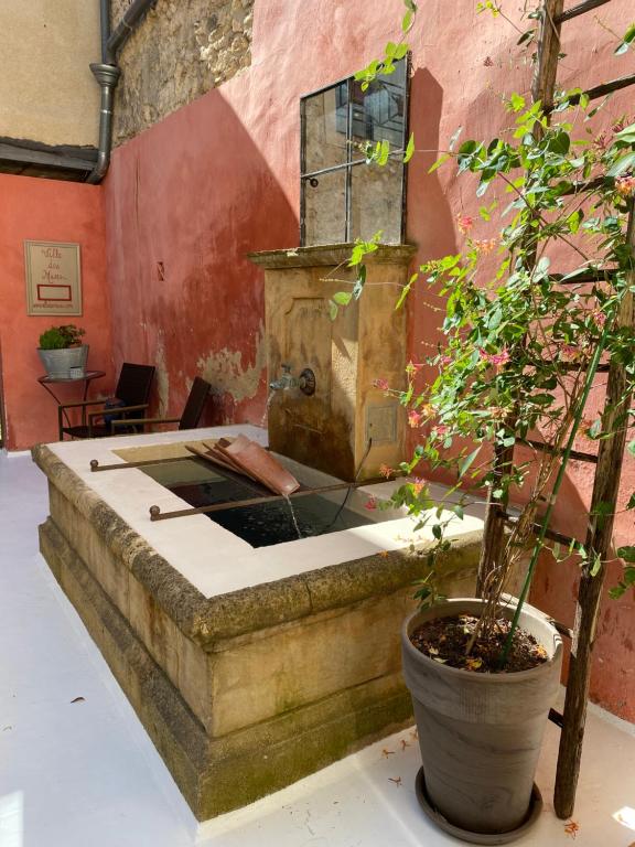 ラ・ロック・ダンテロンにあるB&B Villa des Musesの植物の部屋の石の噴水