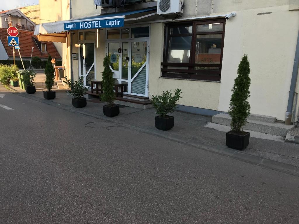 uma fila de vasos de plantas em frente a um edifício em Leptir em Zagreb