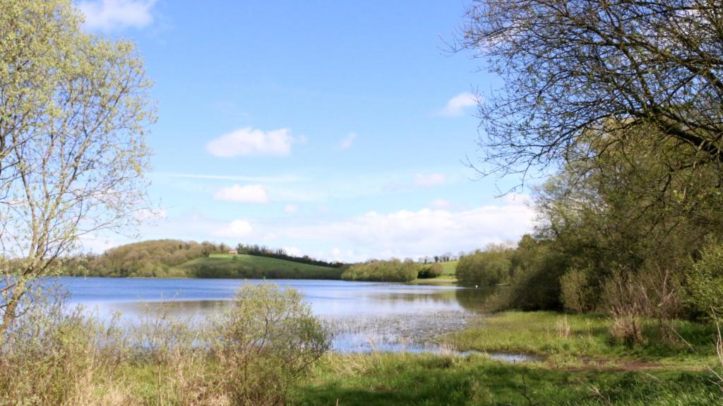 Blick auf einen Fluss mit Bäumen auf der Seite in der Unterkunft Emy Lake Studio in Monaghan