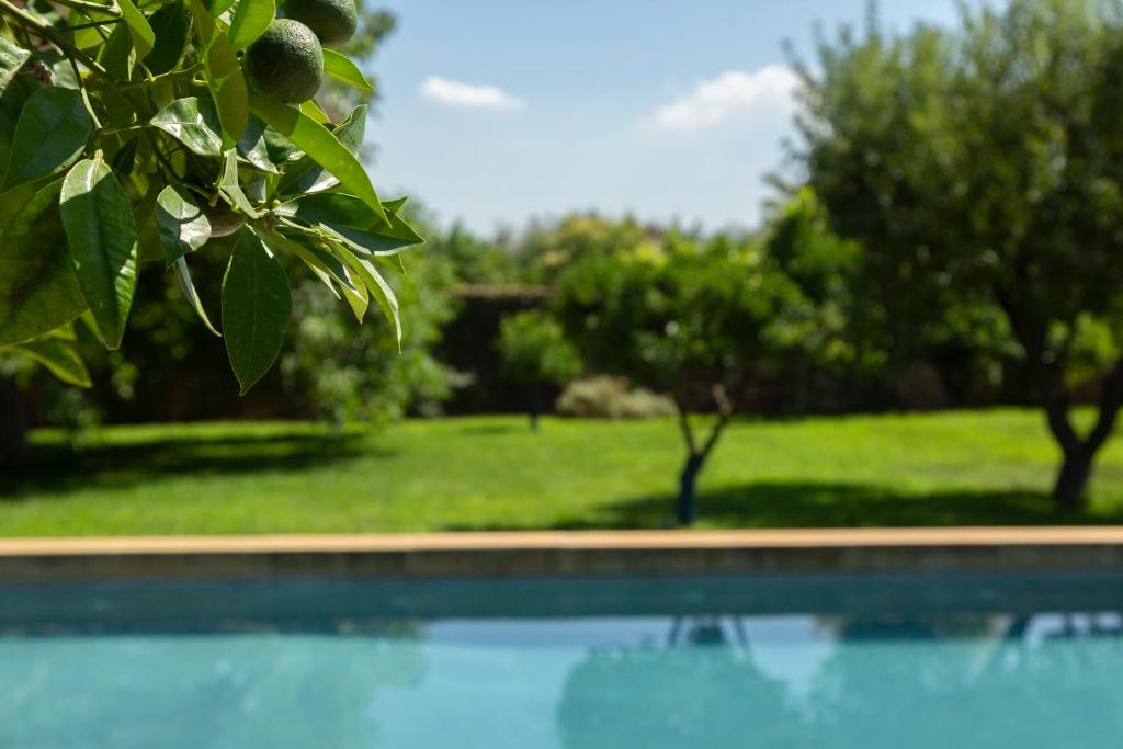 Bazén v ubytování Masseria Borgo Mortella nebo v jeho okolí
