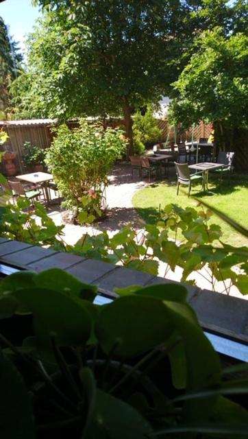 Zahrada ubytování Hotel Bertram