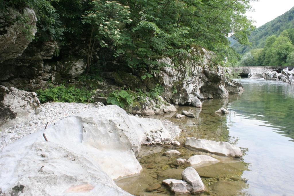 Příroda nedaleko apartmánu