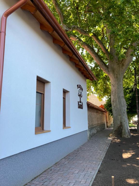 a white building with a tree next to a sidewalk at Platán Panzió in Csongrád