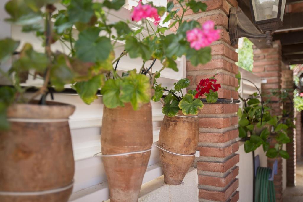 A garden outside Aldecarles
