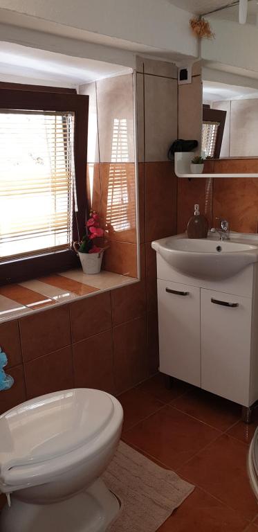 a bathroom with a white toilet and a sink at Apartment Rafael in Senj