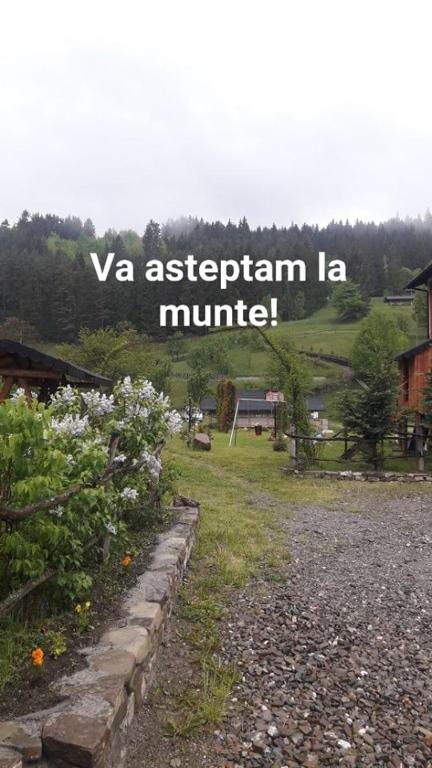 Příroda nedaleko hotelu
