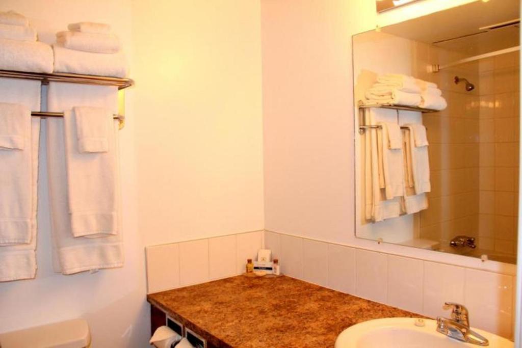 Koupelna v ubytování Acorn Motel
