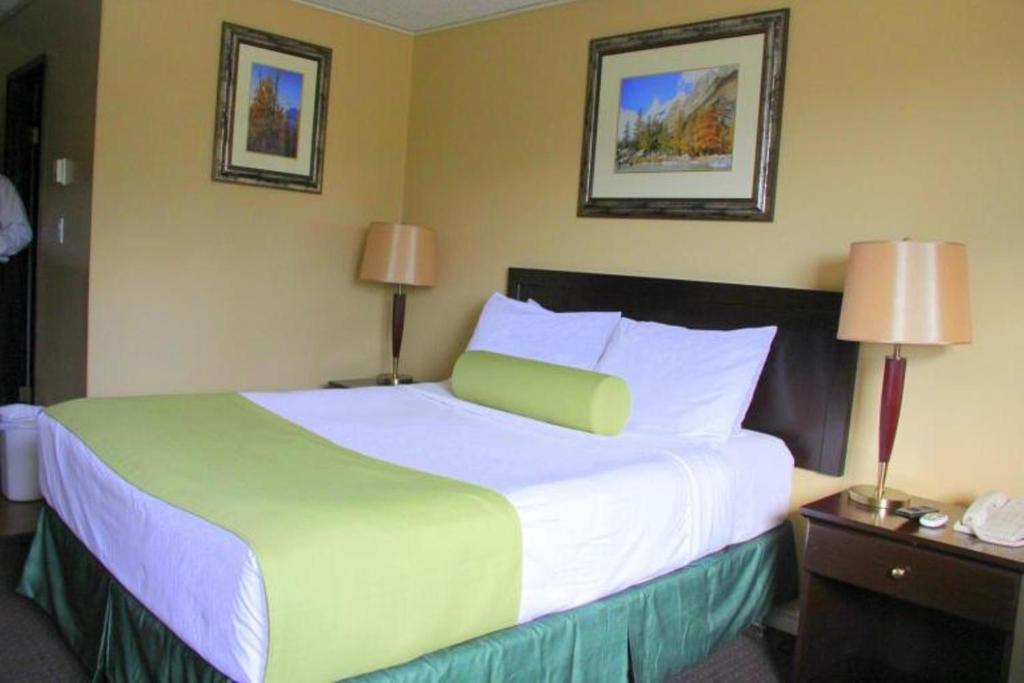 Postel nebo postele na pokoji v ubytování Acorn Motel