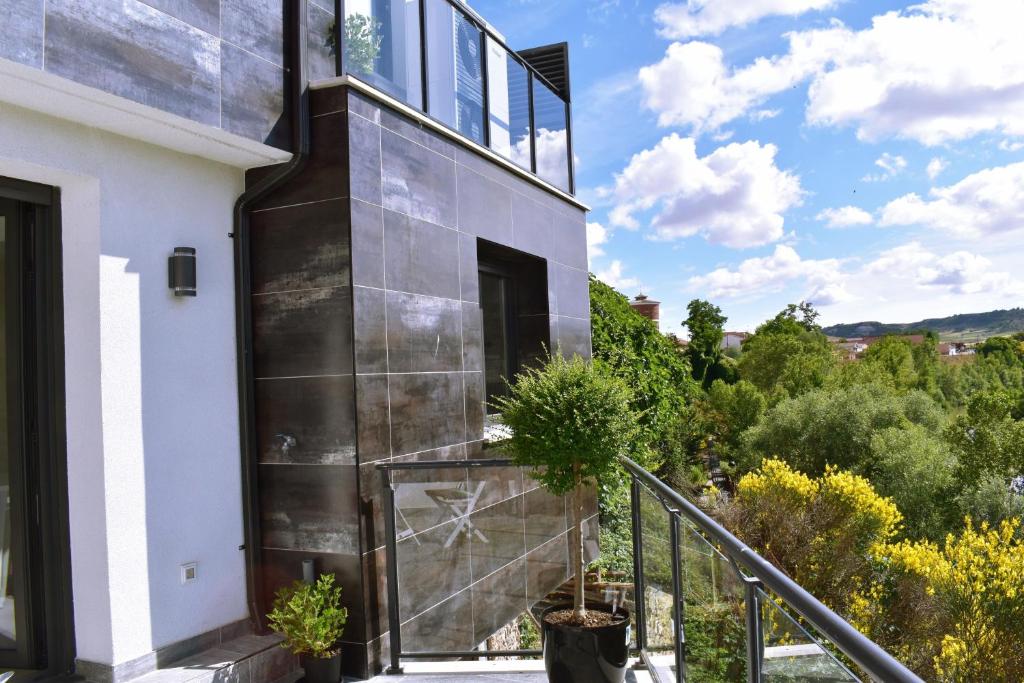 a house with a black and white facade at ALBERGUE HOSTING DUERO in Pesquera de Duero