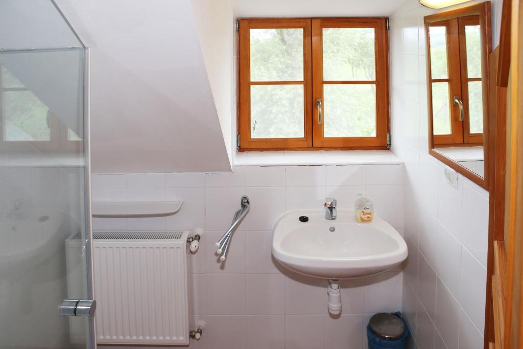 Kúpeľňa v ubytovaní Pajta Villa