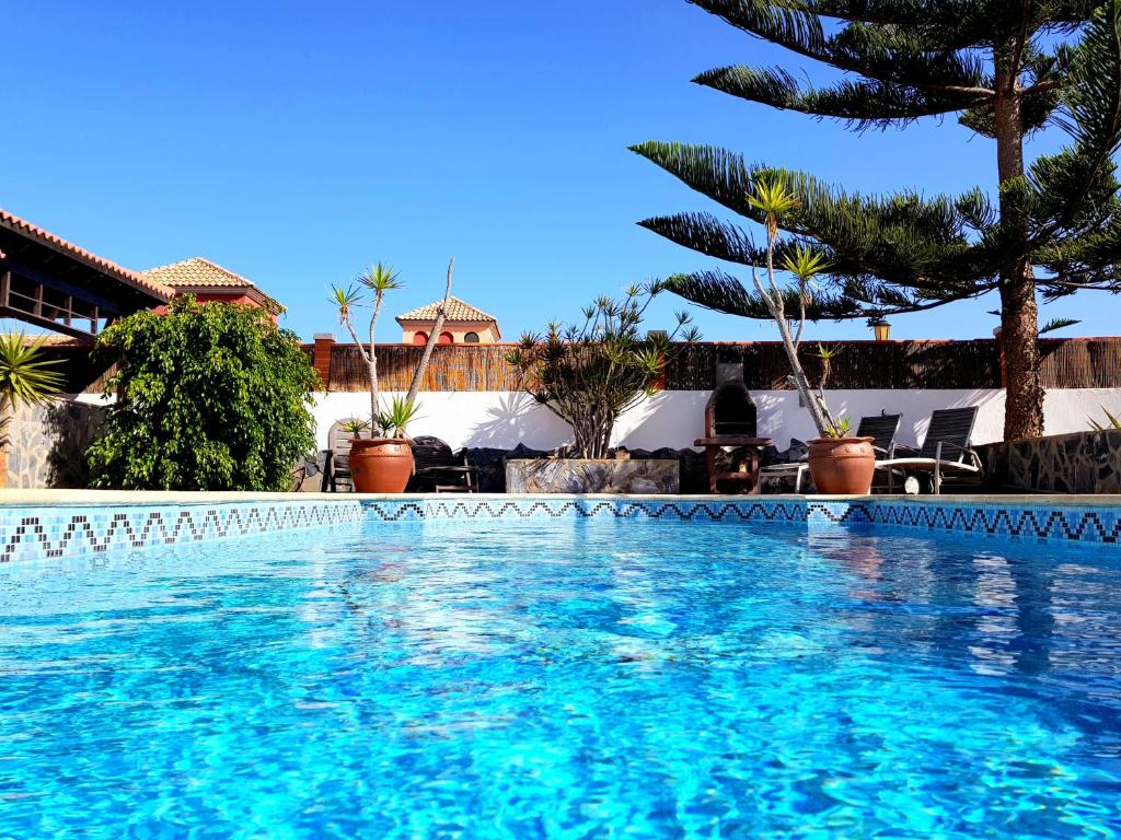 a swimming pool with trees and a building in the background at El Mayordomo in Corralejo