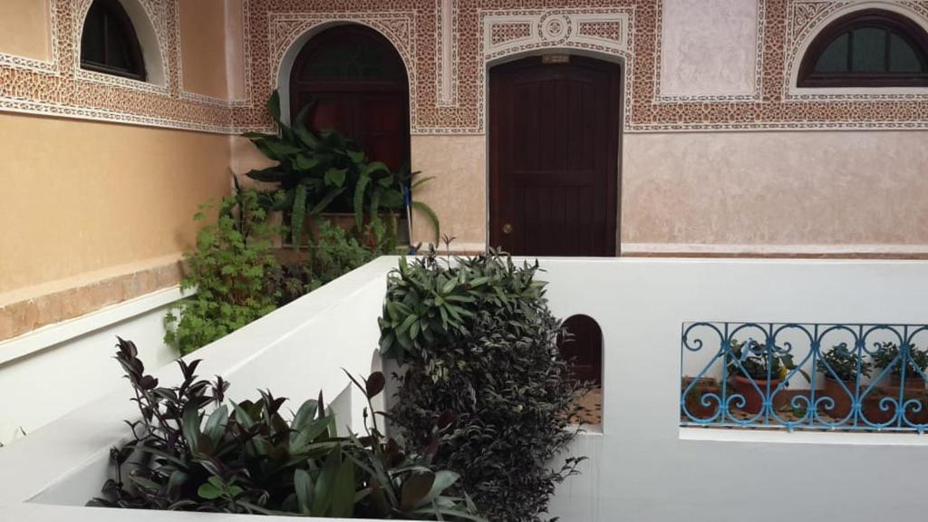 Zahrada ubytování Riad Salt River