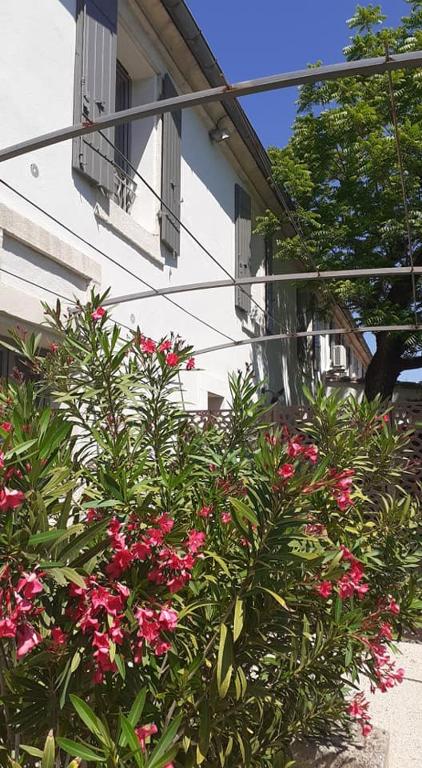 Hôtel Villa Glanum et Spa - 10