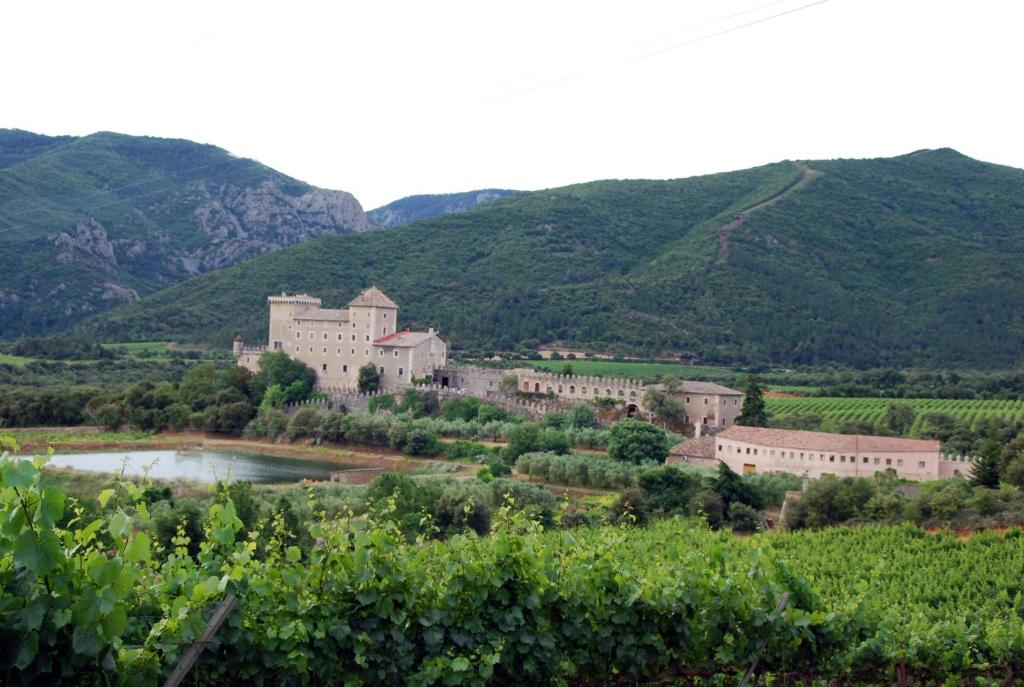 un pueblo en medio de un viñedo con montañas en Castell de Riudabella, en Vimbodí