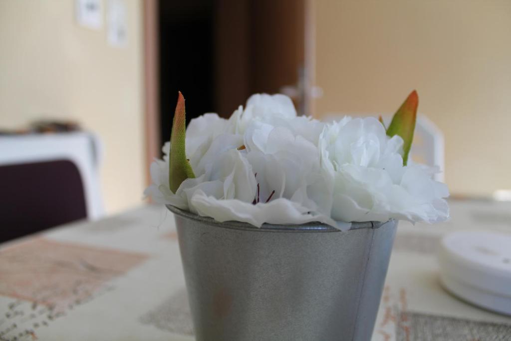 Kirschbaum Apartment - 10