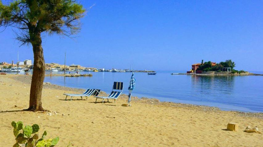 マルツァメミにあるCasa Viale Lidoの海岸の木と椅子2脚