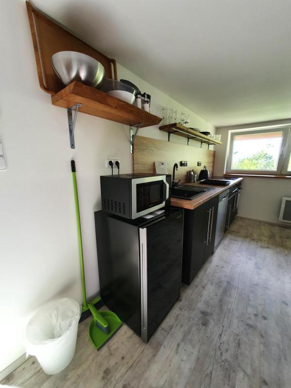 Kuchyň nebo kuchyňský kout v ubytování Apartmány Svatá