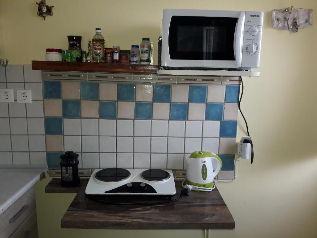 Kuchyň nebo kuchyňský kout v ubytování Traditional Studio