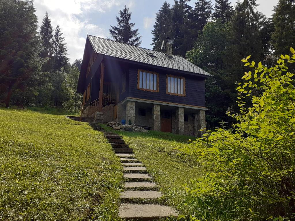 a stone path leading to a blue house at Chata FORESTINA in Vyšné Ružbachy