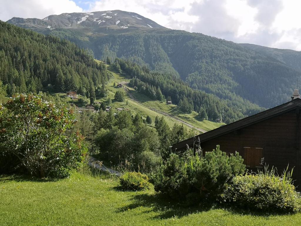 Příroda nedaleko apartmánu