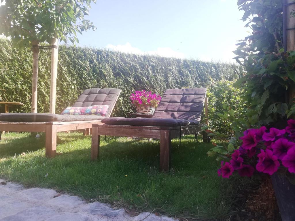 Zahrada ubytování B&B Lora