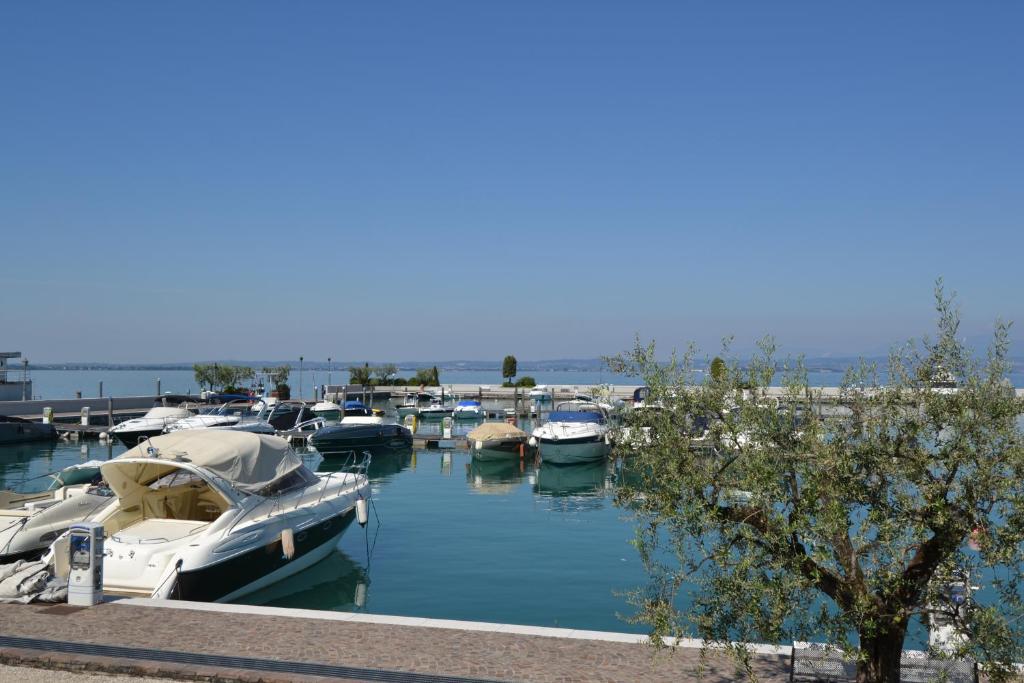 Táj Show holiday homes közelében