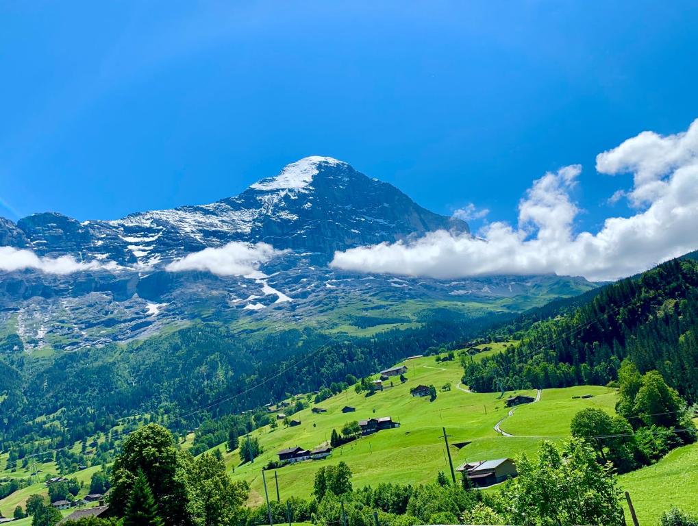 a mountain in the middle of a green valley at Mönch Amazing Apartment Grindelwald in Grindelwald
