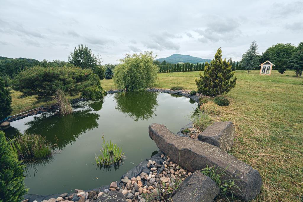 Paesaggio naturale nelle vicinanze dell'hotel